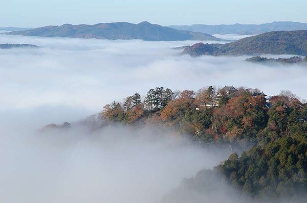 【兵庫県内発】 紅葉に染まる天空の山城「備中松山城」と雪舟ゆかりの「井山宝福寺」 日帰り1